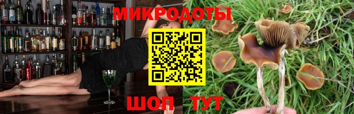 Галлюциногенные грибы ЛСД  Вход с VPN  купить наркоту  Псилоцибиновые грибы Cubensis  Петропавловск-Камчатский 