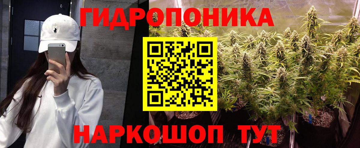 Каннабис марихуана  Марихуана LSD WEED  МАРИХУАНА LSD WEED  Петропавловск-Камчатский  Конопля сатива  Вход с VPN 